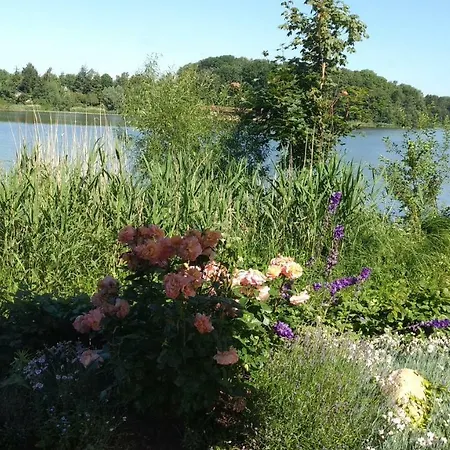 Ilses Seeblick شقة